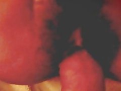 Tajwański księżniczka mocno owłosione cipki