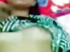 Malajski busty nieśmiały nieśmiały kot